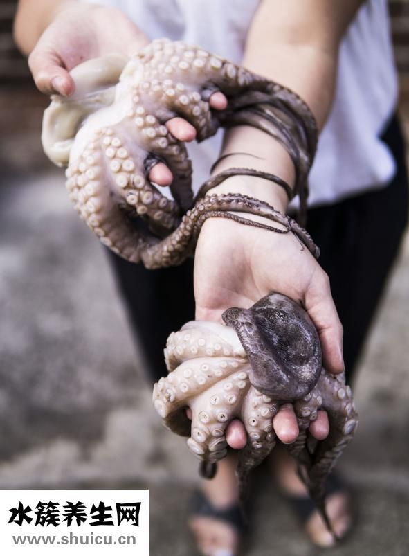 章魚(yú)的烏魚(yú)怎么吃