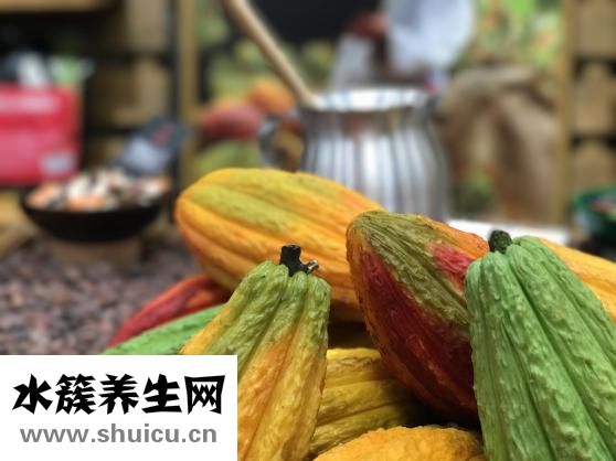 卜用韓文怎么說