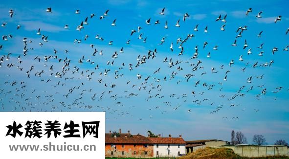 子宮肌瘤怎么運動