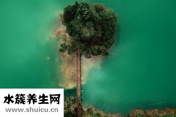 深反射消失怎么辦