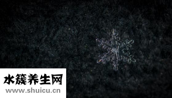 雪花氣墊怎么用