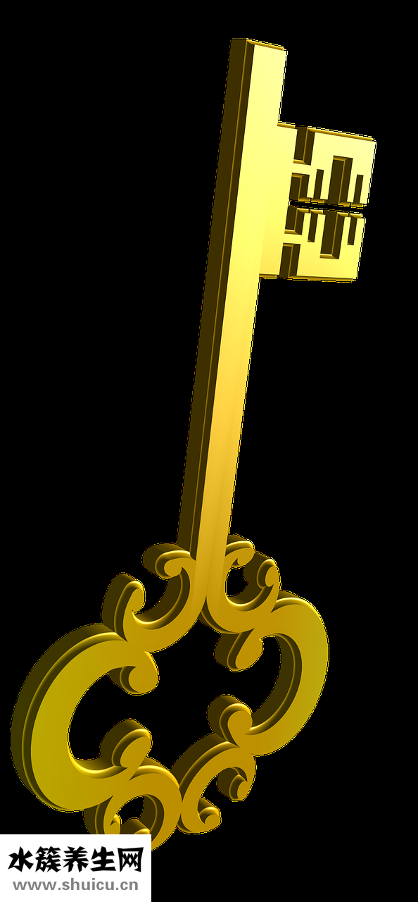 個案論文怎么寫