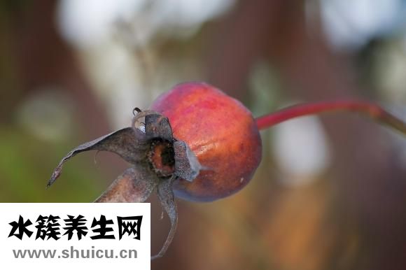 包眼角怎么畫眼線