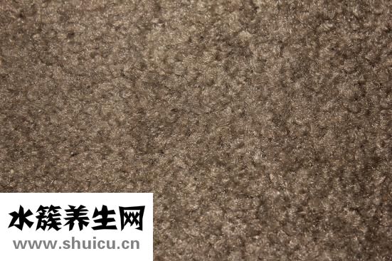 玉珠手鏈怎么看好壞