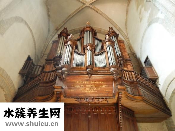 怎么做尖椒炒肉