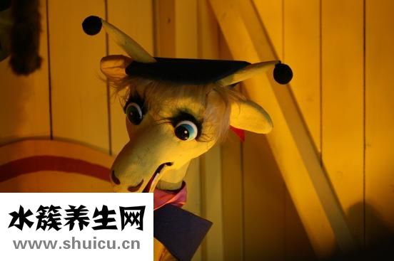 毛毛球怎么用的