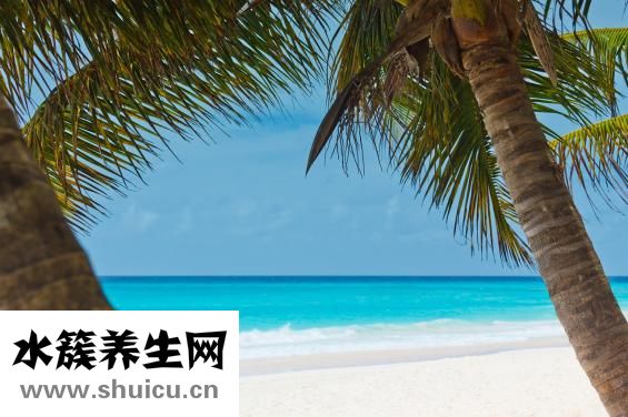 黃斑區(qū)病變怎么辦