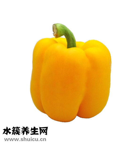 蔬菜怎么炒