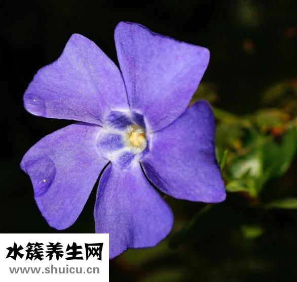 肺癌腳腫怎么辦