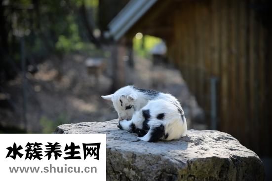 不喜歡讀書怎么辦