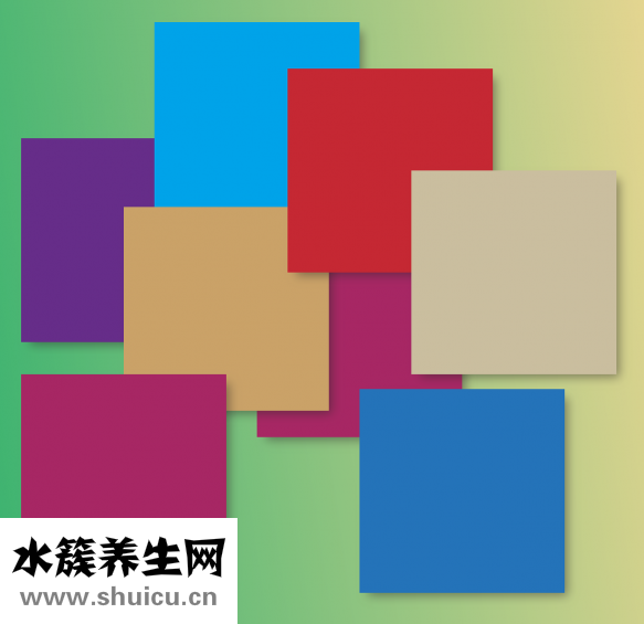 貝殼怎么看死活