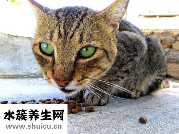 寶寶眨眼睛怎么辦