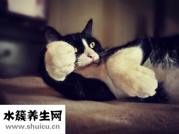 睫毛膠干了怎么辦