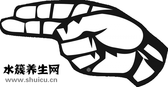 鱸魚拼音怎么寫