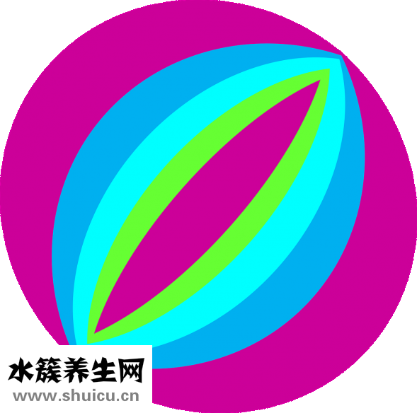 皮手套怎么打理