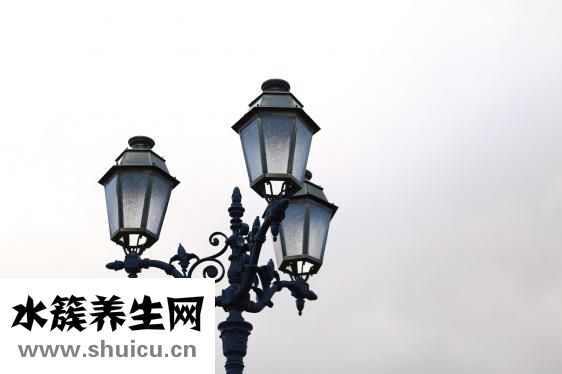 怎么在夢(mèng)里控制夢(mèng)