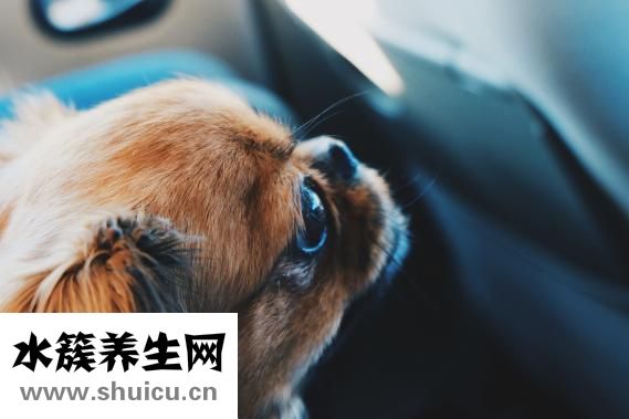 寶寶眨眼睛怎么辦