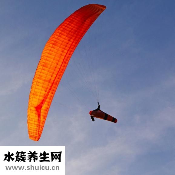 小孩肥胖怎么辦