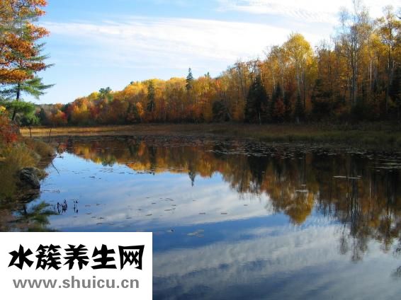 怎么給照片戴假發