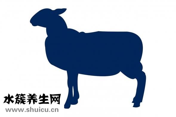 新鮮狗肉怎么做好吃