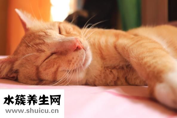 女人不出汗怎么回事