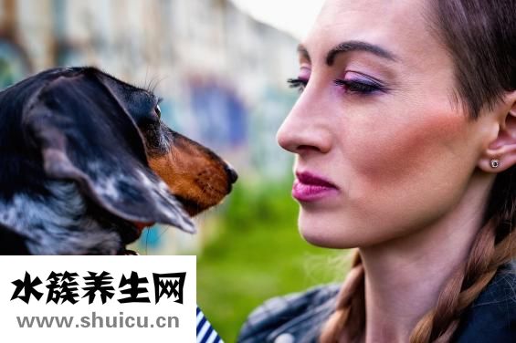 腦神經衰弱怎么調理