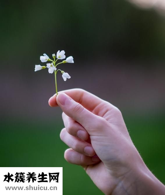 汗毛越來越長怎么辦