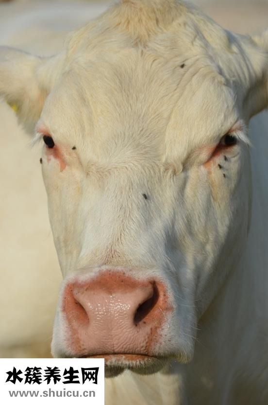 淘寶團購怎么做