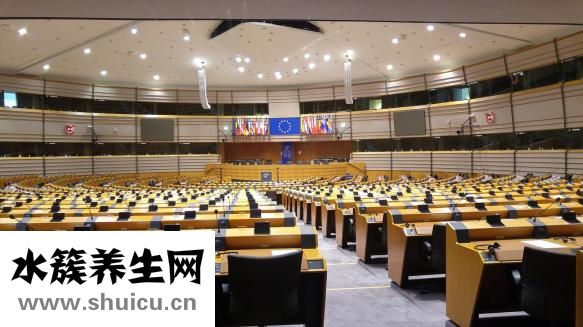 蟲子進入耳朵怎么辦