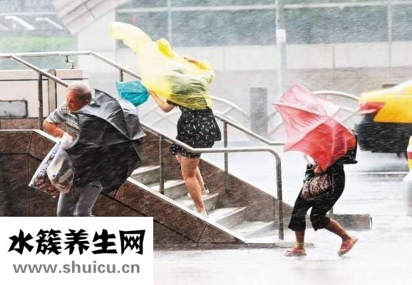 臺(tái)風(fēng)的日記怎么寫