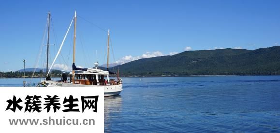 腿青了怎么好的快