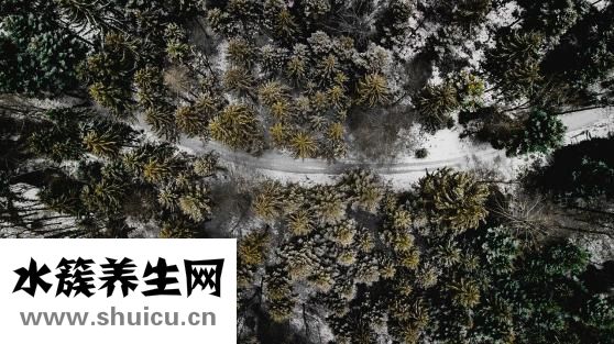 胸腔出血怎么辦