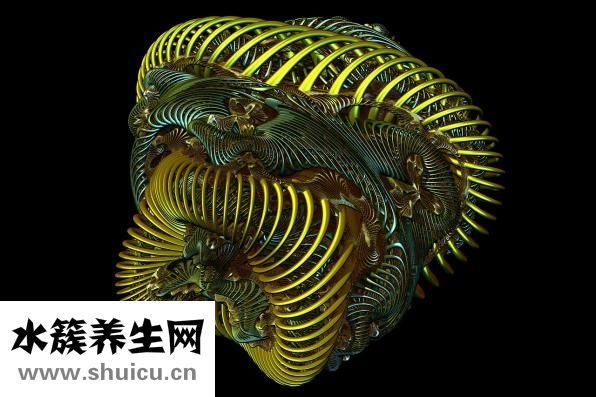 德國(guó)切肉刀怎么選