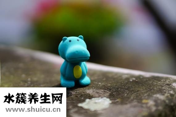 孩子咳嗽吐怎么辦