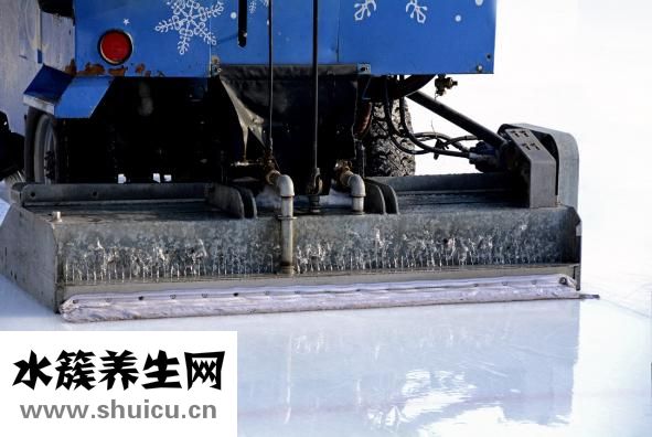 胎盤治病怎么洗吃