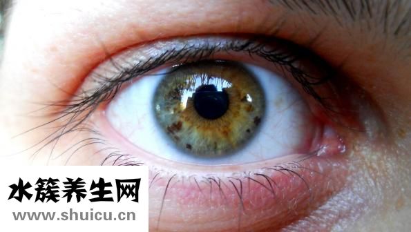 玫瑰百合怎么養(yǎng)