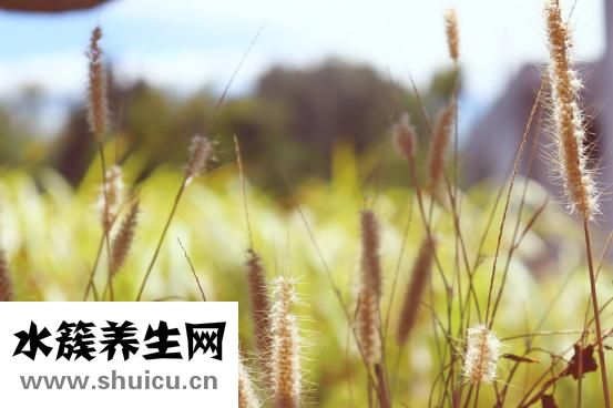 怎么發(fā)表科學(xué)文獻(xiàn)