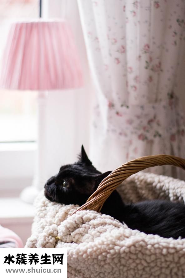 結膜炎怎么引起的