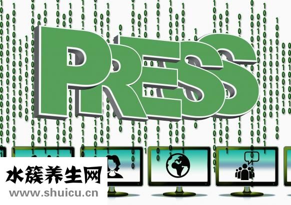 怎么可以瘦肚子