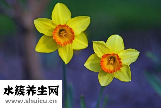 怎么保持神秘感