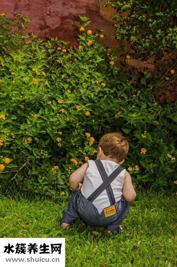 宜家兒童凳怎么裝