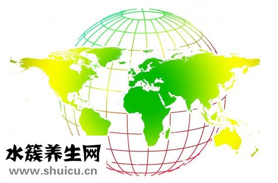 怎么區(qū)分野生甲魚