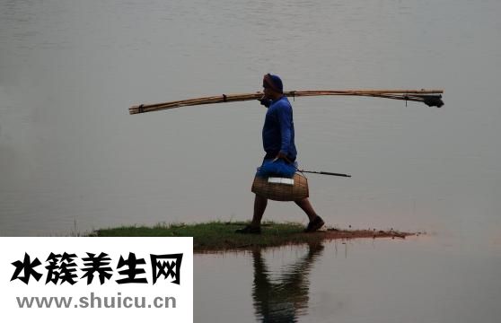 吃了活螞蟻怎么辦