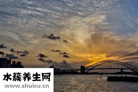 尹天照怎么消失了