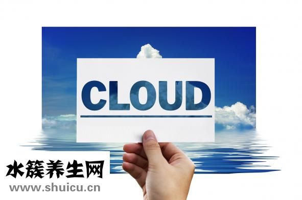 精子活率怎么計算