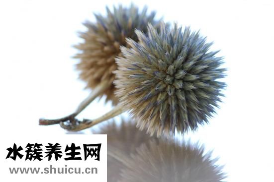 腸道出血怎么辦