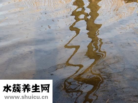 腸道出血怎么辦