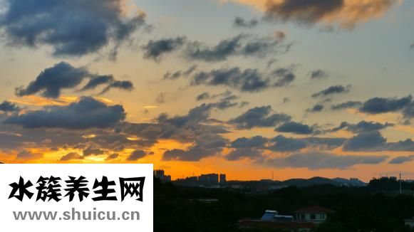 螃蟹冬天怎么保存