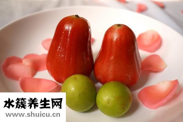 梅子粉用日語怎么說