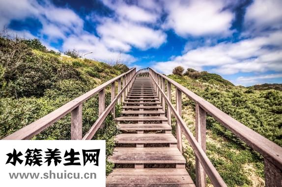 胖頭魚身怎么做好吃